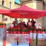 AISM Siena va a 1000. Successo per i fiori della solidarietà