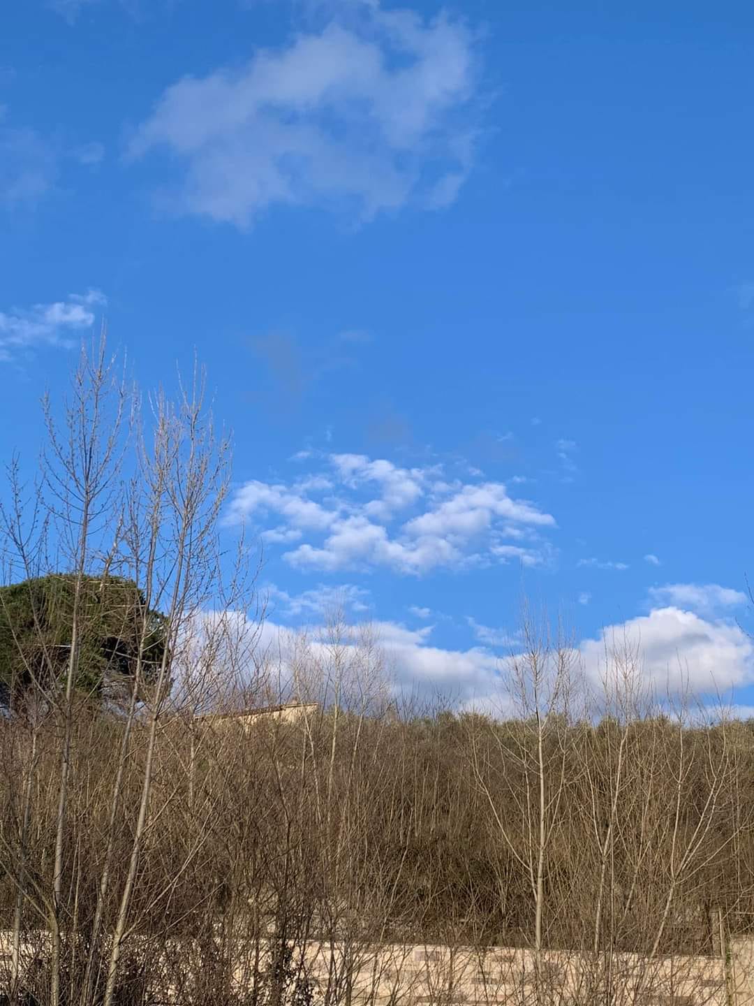 Nel cielo Fantino su cavallo