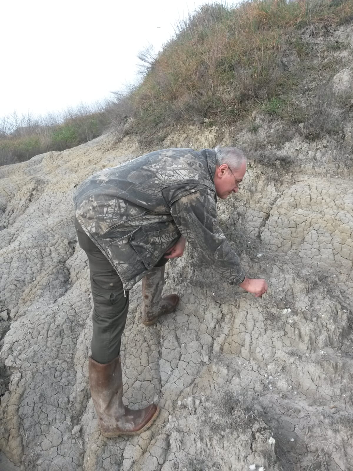 Nonno Stefano impegnato nelle ricerche di fossili nelle campagnesenesi 